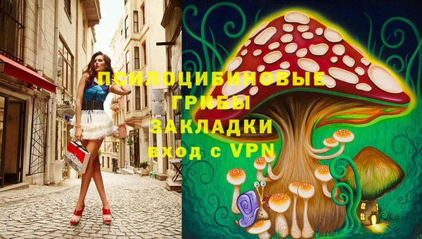 герыч Алексин