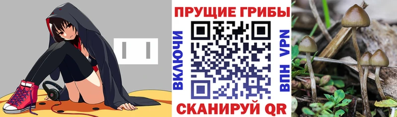 Псилоцибиновые грибы Magic Shrooms  Королёв 